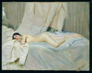 Jeugd in het volle licht